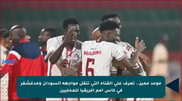 موعد مميز.. تعرف على القناة التي تنقل مواجهة السودان ومدغشقر في كأس أمم إفريقيا للمحليين